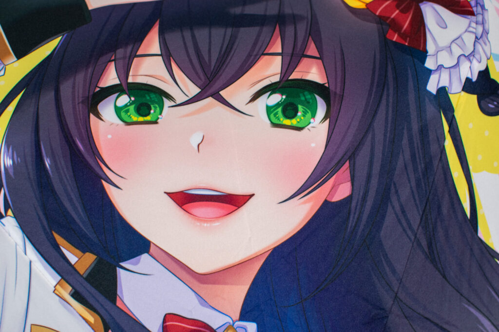 折りたたみ傘の生地の目の細かさ、色合いのサンプル画像。キャラの顔も美しくプリントします。